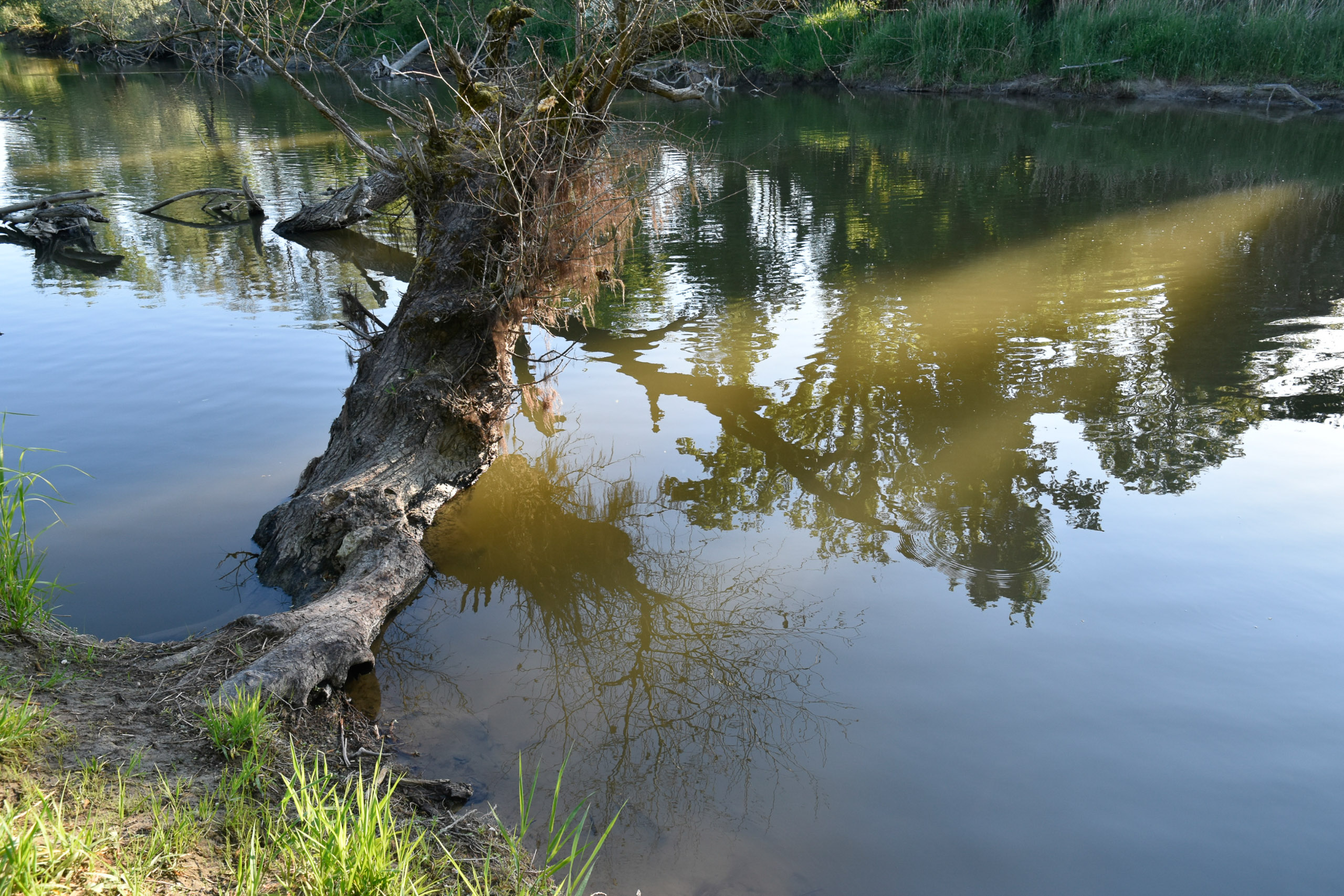 20250511074434 A240501